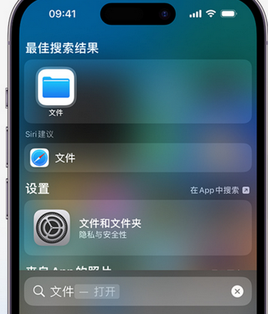 西固apple维修中心分享iPhone文件应用中存储和找到下载文件 