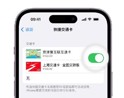 西固apple维修点分享iPhone上更换Apple Pay快捷交通卡手绘卡面 