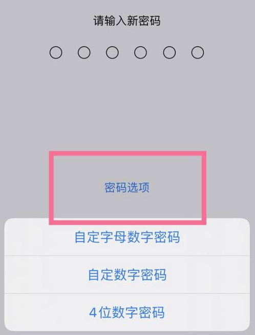 西固苹果14维修分享iPhone 14plus设置密码的方法 