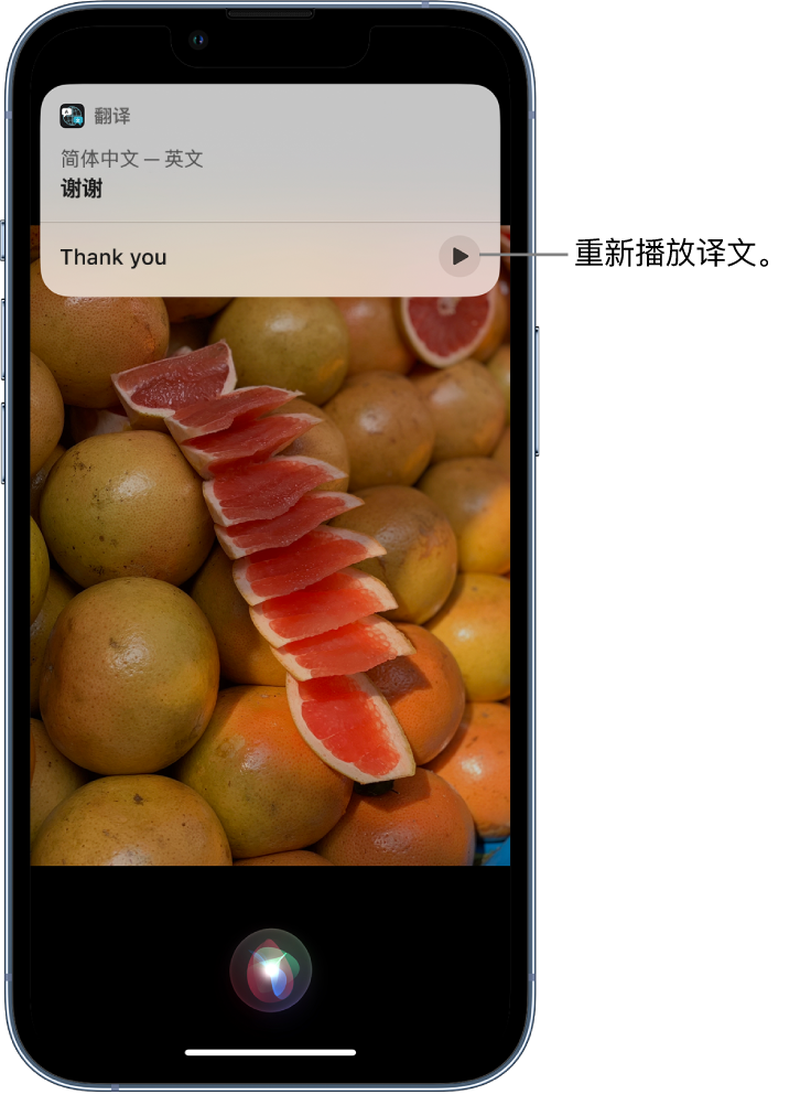 西固苹果14维修分享 iPhone 14 机型中使用 Siri：了解 Siri 能帮你做什么 