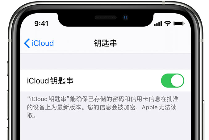 西固苹果手机维修分享在 iPhone 上开启 iCloud 钥匙串之后会储存哪些信息 