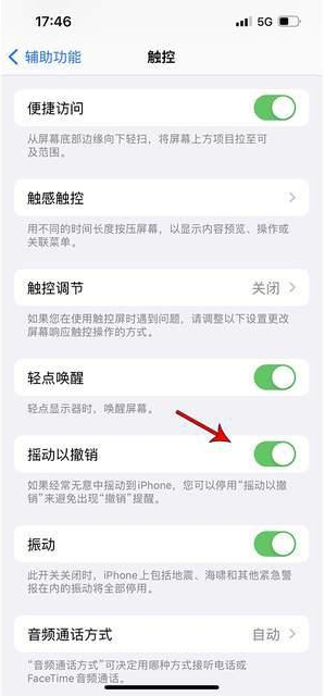 西固苹果手机维修分享iPhone手机如何设置摇一摇删除文字 