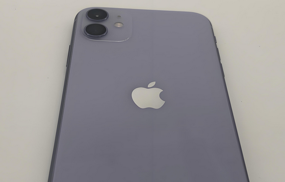 西固苹果11系统维修分享iPhone11手机系统崩溃无法开机如何解决 